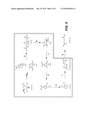 MICROORGANISMS FOR THE PRODUCTION OF ADIPIC ACID AND OTHER COMPOUNDS diagram and image