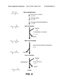 MICROORGANISMS FOR THE PRODUCTION OF ADIPIC ACID AND OTHER COMPOUNDS diagram and image