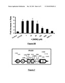 ACTIVATED LIPASES AND METHODS OF USE THEREFOR diagram and image