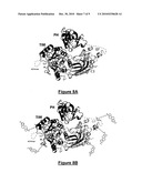 ACTIVATED LIPASES AND METHODS OF USE THEREFOR diagram and image