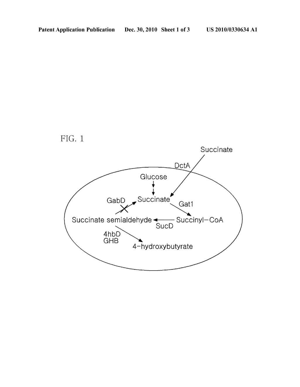 Mutants Having Capability To Produce 1, 4-Butanediol And Method For Preparing 1, 4-Butanediol Using The Same - diagram, schematic, and image 02