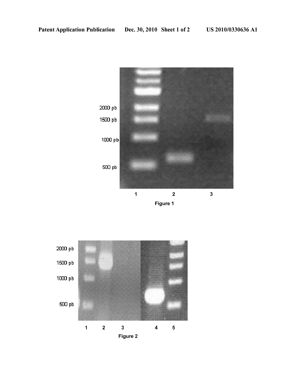 PROCESS FOR THE BIOLOGICAL PRODUCTION OF N-BUTANOL WITH HIGH YIELD - diagram, schematic, and image 02