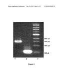 PROCESS FOR THE BIOLOGICAL PRODUCTION OF N-BUTANOL WITH HIGH YIELD diagram and image