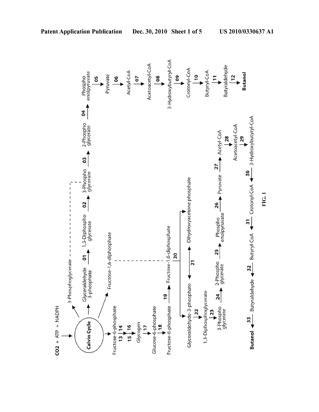 Designer Organisms for Photobiological Butanol Production from Carbon Dioxide and Water - diagram, schematic, and image 02