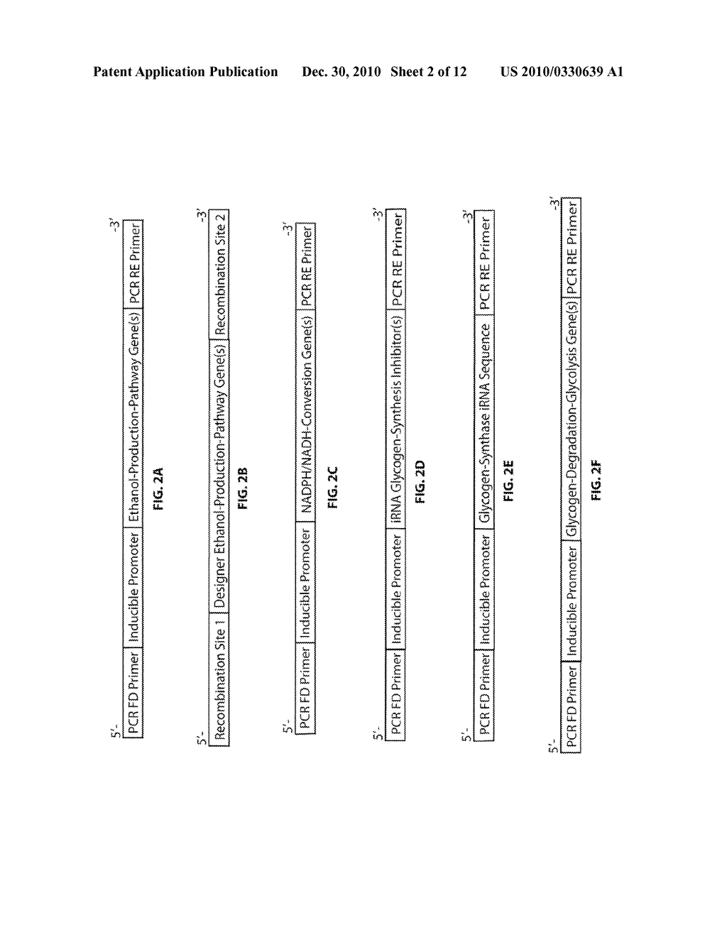 Designer Oxyphotobacteria and Greenhouse Distillation for Photobiological Ethanol Production from Carbon Dioxide and Water - diagram, schematic, and image 03