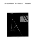 BOUNDARY CONDITIONS FOR THE ARRANGEMENT OF CELLS AND TISSUES diagram and image