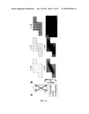 BOUNDARY CONDITIONS FOR THE ARRANGEMENT OF CELLS AND TISSUES diagram and image