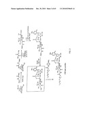 ONE POT DESIALYLATION AND GLYCOPEGYLATION OF THERAPEUTIC PEPTIDES diagram and image