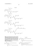 ONE POT DESIALYLATION AND GLYCOPEGYLATION OF THERAPEUTIC PEPTIDES diagram and image