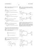 ONE POT DESIALYLATION AND GLYCOPEGYLATION OF THERAPEUTIC PEPTIDES diagram and image