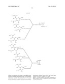 ONE POT DESIALYLATION AND GLYCOPEGYLATION OF THERAPEUTIC PEPTIDES diagram and image