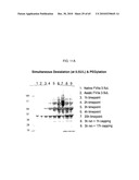 ONE POT DESIALYLATION AND GLYCOPEGYLATION OF THERAPEUTIC PEPTIDES diagram and image