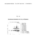 ONE POT DESIALYLATION AND GLYCOPEGYLATION OF THERAPEUTIC PEPTIDES diagram and image