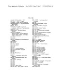 ONE POT DESIALYLATION AND GLYCOPEGYLATION OF THERAPEUTIC PEPTIDES diagram and image