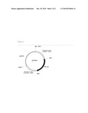 THERMOSTABLE CATALASE diagram and image