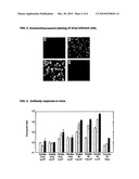 RECOMBINANT VACCINE AGAINST JAPANESE ENCEPHALITIS VIRUS [JEV] INFECTION AND A METHOD THEREOF diagram and image