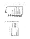 RECOMBINANT VACCINE AGAINST JAPANESE ENCEPHALITIS VIRUS [JEV] INFECTION AND A METHOD THEREOF diagram and image