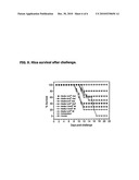 RECOMBINANT VACCINE AGAINST JAPANESE ENCEPHALITIS VIRUS [JEV] INFECTION AND A METHOD THEREOF diagram and image