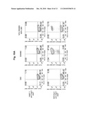 Differentiated Pluripotent Stem Cell Progeny Depleted of Extraneous Phenotypes diagram and image