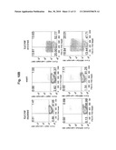 Differentiated Pluripotent Stem Cell Progeny Depleted of Extraneous Phenotypes diagram and image