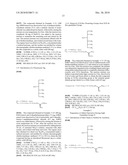 MOLECULAR TRANSPORTERS BASED ON SUGAR AND ITS ANALOGUES AND PROCESSES FOR THE PREPARATION THEREOF diagram and image