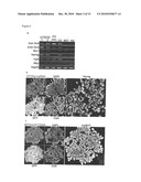 Improved Reprogramming of Mammalian Cells, and Cells Obtained diagram and image