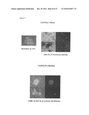 Improved Reprogramming of Mammalian Cells, and Cells Obtained diagram and image