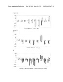 Improved Reprogramming of Mammalian Cells, and Cells Obtained diagram and image