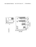 METHOD FOR QUANTIFYING OXIDATIVE STRESS CAUSED BY DIFFERENT BIOLOGICAL PATHWAYS diagram and image