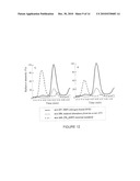 METHOD FOR QUANTIFYING OXIDATIVE STRESS CAUSED BY DIFFERENT BIOLOGICAL PATHWAYS diagram and image