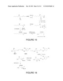 METHOD FOR QUANTIFYING OXIDATIVE STRESS CAUSED BY DIFFERENT BIOLOGICAL PATHWAYS diagram and image