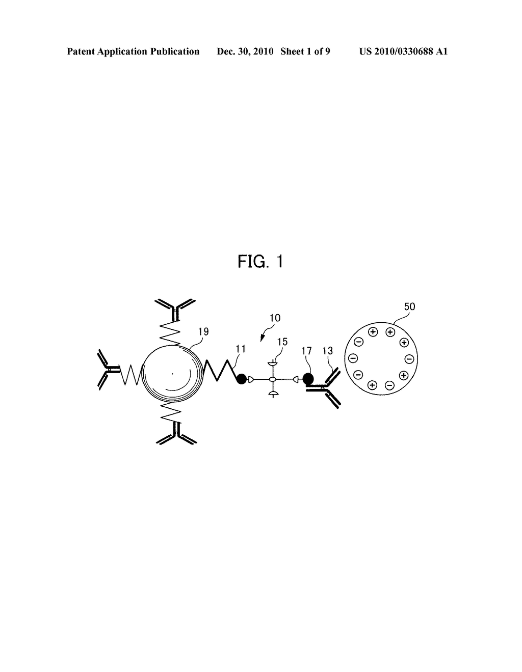 DETECTION METHOD AND DETERMINATION METHOD FOR DETECTION TARGET - diagram, schematic, and image 02