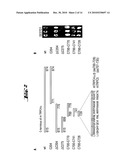 COMPLEXES OF TRPC DOMAINS AND SESTD1 DOMAINS AND METHODS AND USES INVOLVING THE SAME diagram and image