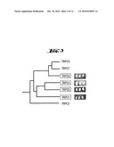 COMPLEXES OF TRPC DOMAINS AND SESTD1 DOMAINS AND METHODS AND USES INVOLVING THE SAME diagram and image