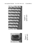 POLISHING PAD WITH ARRAY OF FLUIDIZED GIMBALLED ABRASIVE MEMBERS diagram and image