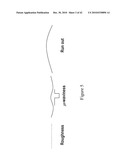 POLISHING PAD WITH ARRAY OF FLUIDIZED GIMBALLED ABRASIVE MEMBERS diagram and image