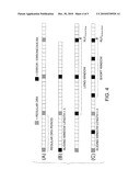 PROVIDING IMPROVED CONNECTION FAILURE DETECTION diagram and image