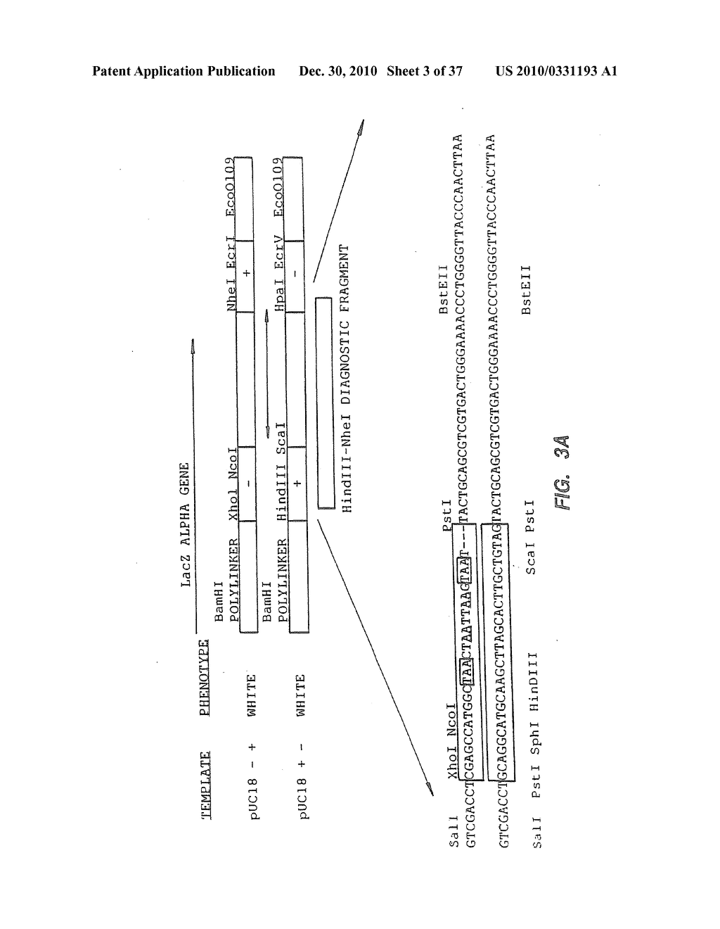 Methods for generating polynucleotides having desired characteristics by iterative selection and recombination - diagram, schematic, and image 04