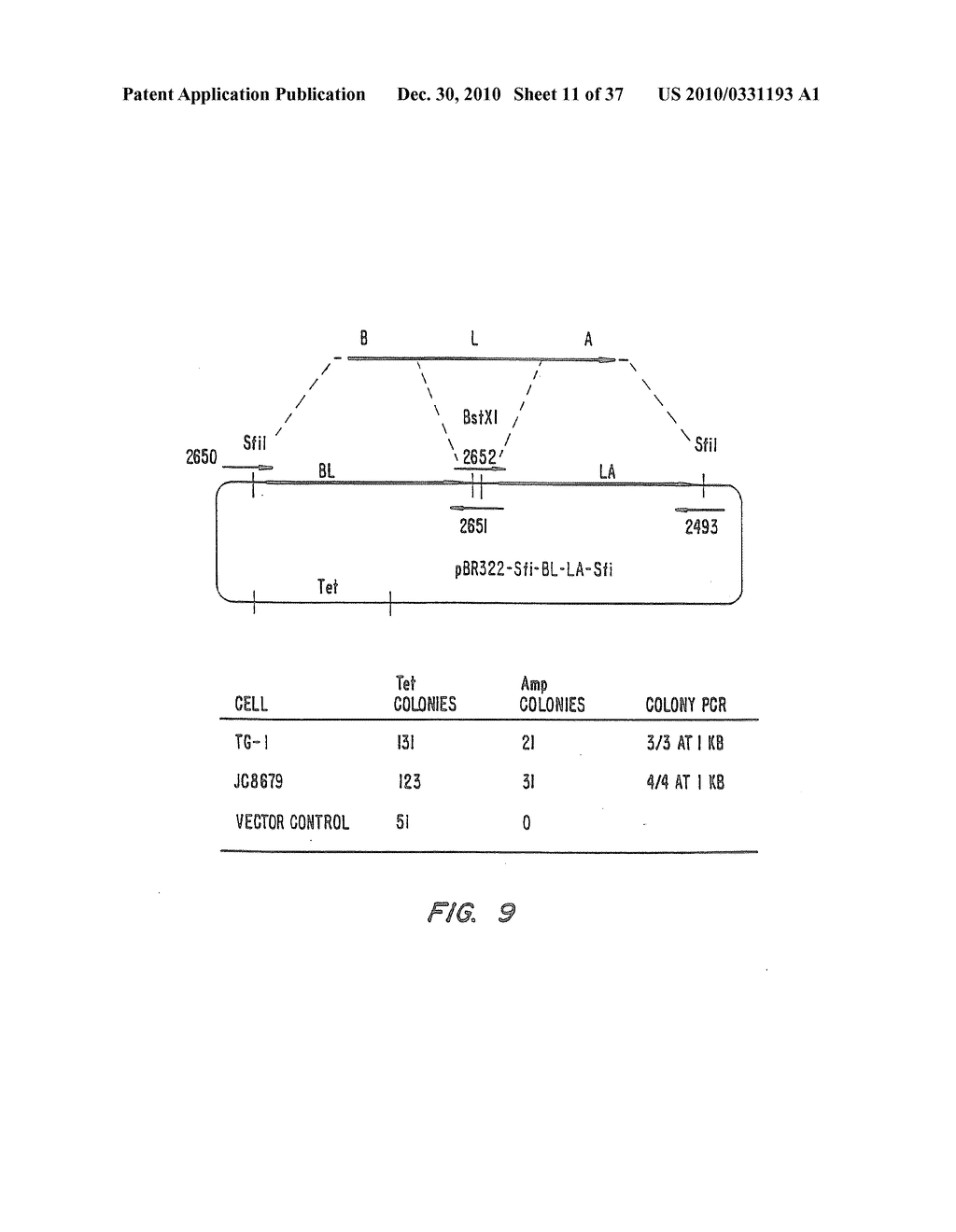 Methods for generating polynucleotides having desired characteristics by iterative selection and recombination - diagram, schematic, and image 12