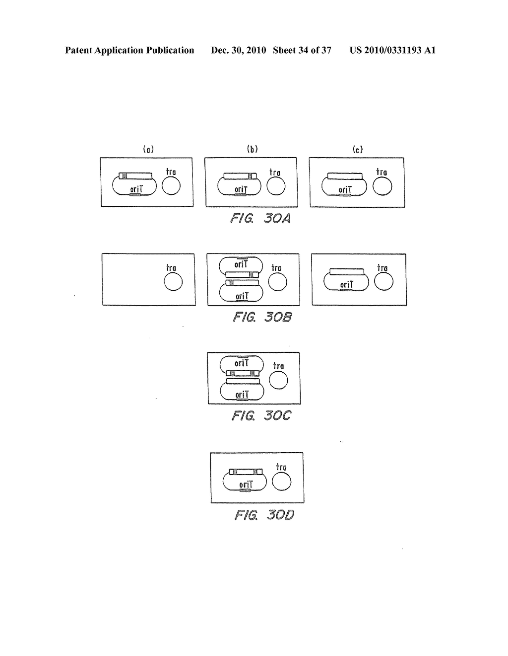 Methods for generating polynucleotides having desired characteristics by iterative selection and recombination - diagram, schematic, and image 35