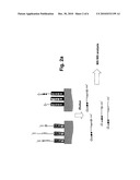 METHOD FOR THE DETECTION AND/OR ENRICHMENT OF ANALYTE PROTEINS AND/OR ANALYTE PEPTIDES FROM A COMPLEX PROTEIN MIXTURE diagram and image