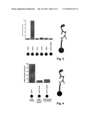 METHOD FOR THE DETECTION AND/OR ENRICHMENT OF ANALYTE PROTEINS AND/OR ANALYTE PEPTIDES FROM A COMPLEX PROTEIN MIXTURE diagram and image
