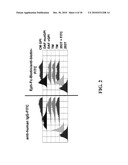 Cell Display Of Antibody Libraries diagram and image