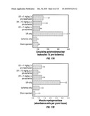 CYCLIC PEPTIDES AS G-PROTEIN COUPLED RECEPTOR ANTAGONISTS diagram and image