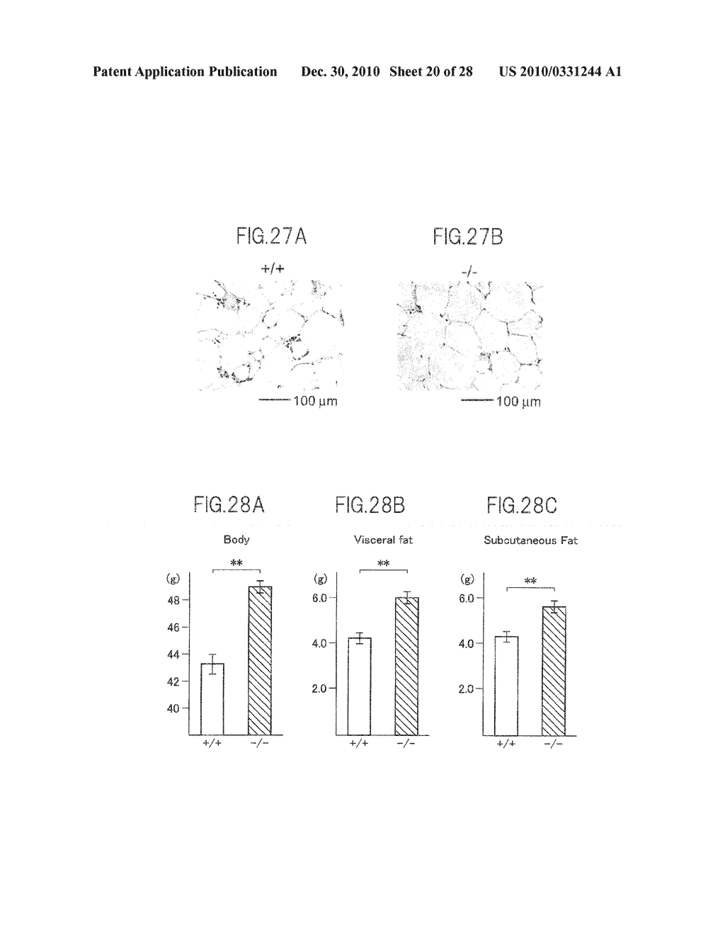 PHARMACEUTICAL COMPOSITION, FOOD OR DRINK, AND METHODS RELATED THERETO - diagram, schematic, and image 21