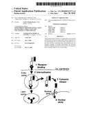 SELF-ASSEMBLING COMPLEX FOR TARGETING CHEMICAL AGENTS TO CELLS diagram and image