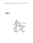 SELF-ASSEMBLING COMPLEX FOR TARGETING CHEMICAL AGENTS TO CELLS diagram and image