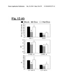 SELF-ASSEMBLING COMPLEX FOR TARGETING CHEMICAL AGENTS TO CELLS diagram and image