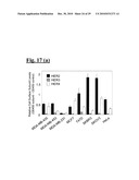 SELF-ASSEMBLING COMPLEX FOR TARGETING CHEMICAL AGENTS TO CELLS diagram and image