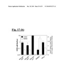 SELF-ASSEMBLING COMPLEX FOR TARGETING CHEMICAL AGENTS TO CELLS diagram and image